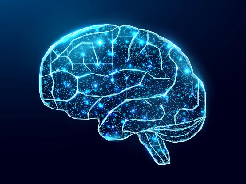 Dream Interpretation